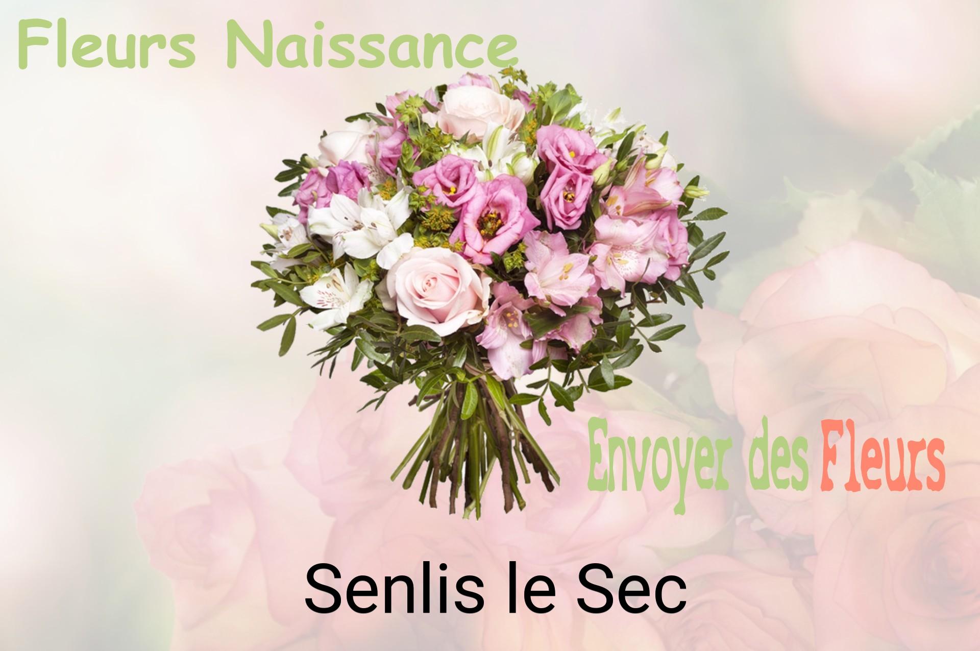 Bouquet de fleurs de naissance livré à Senlis-le-Sec